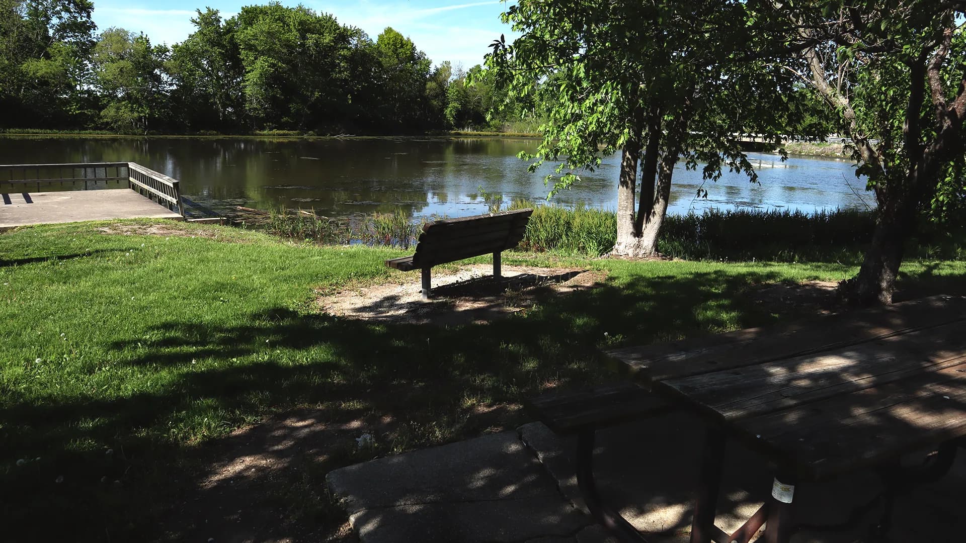 Tower Lake bench and picnic area.